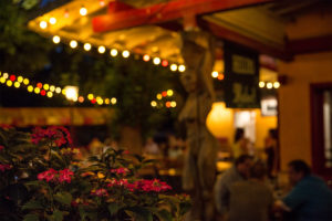 Volksgarten Biergarten Hellers